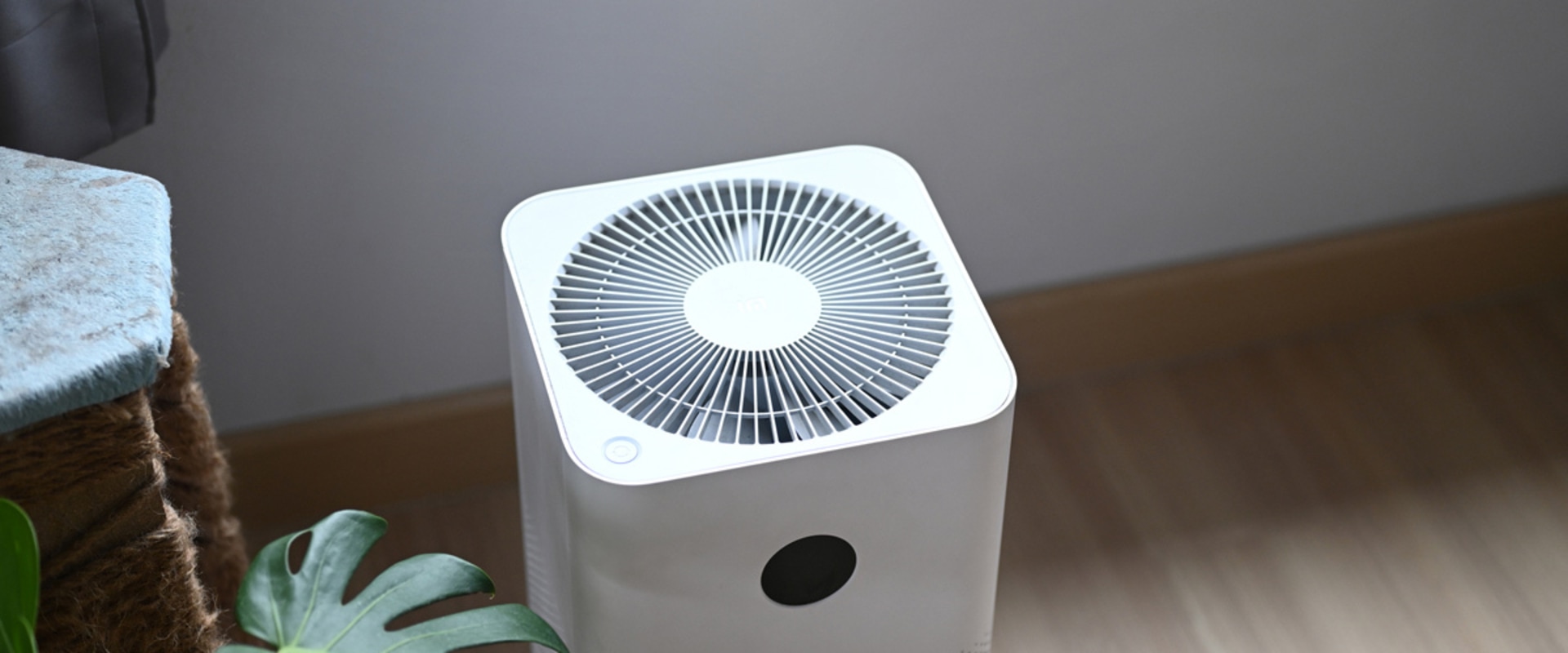 The Truth About Air Purifiers: Separating Fact from Fiction