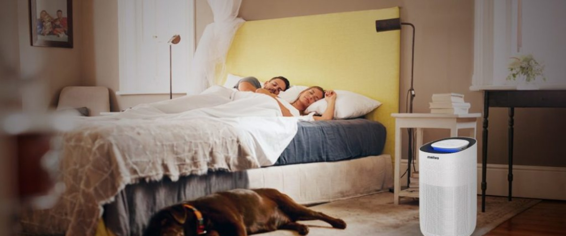 The Surprising Benefits of Sleeping Next to an Air Purifier