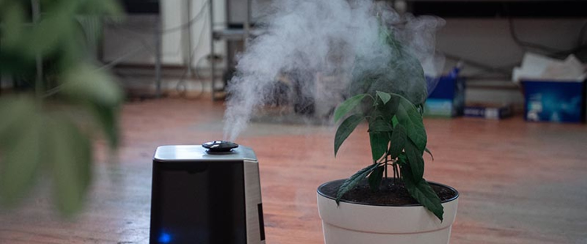 The Truth About Air Purifiers and Indoor Air Quality