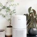 The Power of Air Purifiers: How They Can Improve Your Health