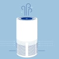 The Importance of Using an Air Purifier Every Day