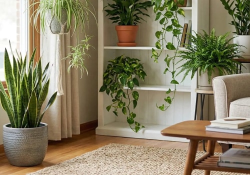 Best Plants to Clean Air After Using Cleaning Chemicals at Home