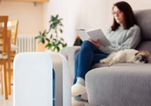 The Truth About Air Purifiers: Separating Fact from Fiction