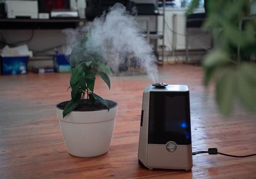 The Truth About Air Purifiers and Indoor Air Quality